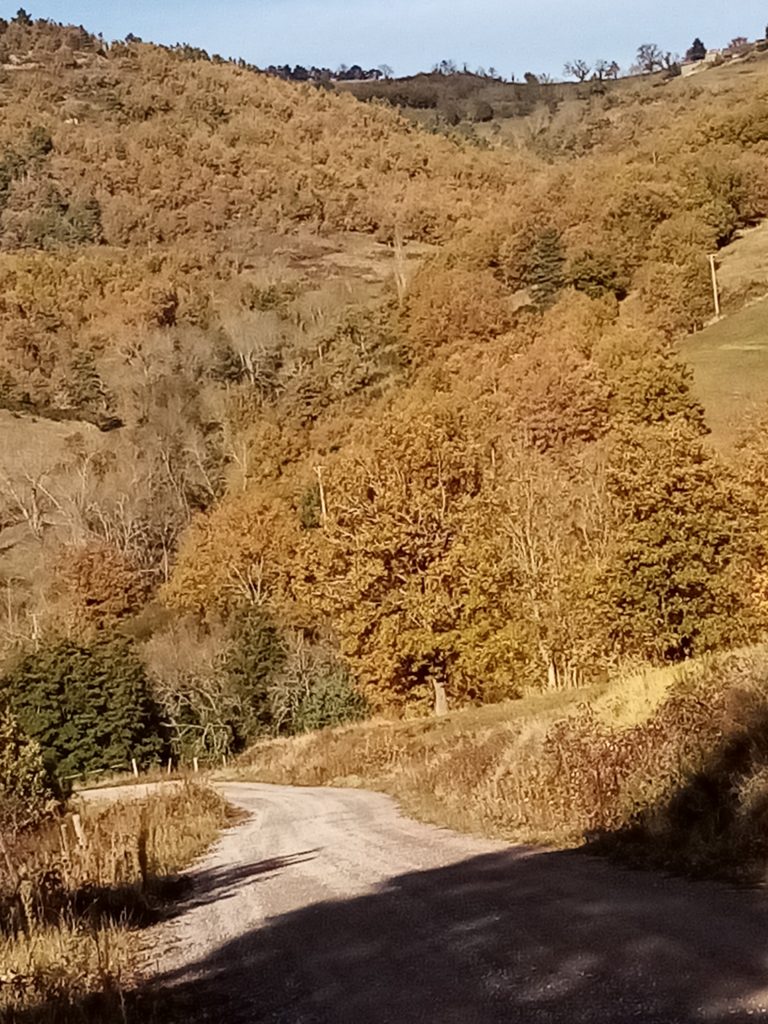 Profitez du beau temps automnal au gite au fil de la Vallée - Gorges Allier - tout confort en Auvergne