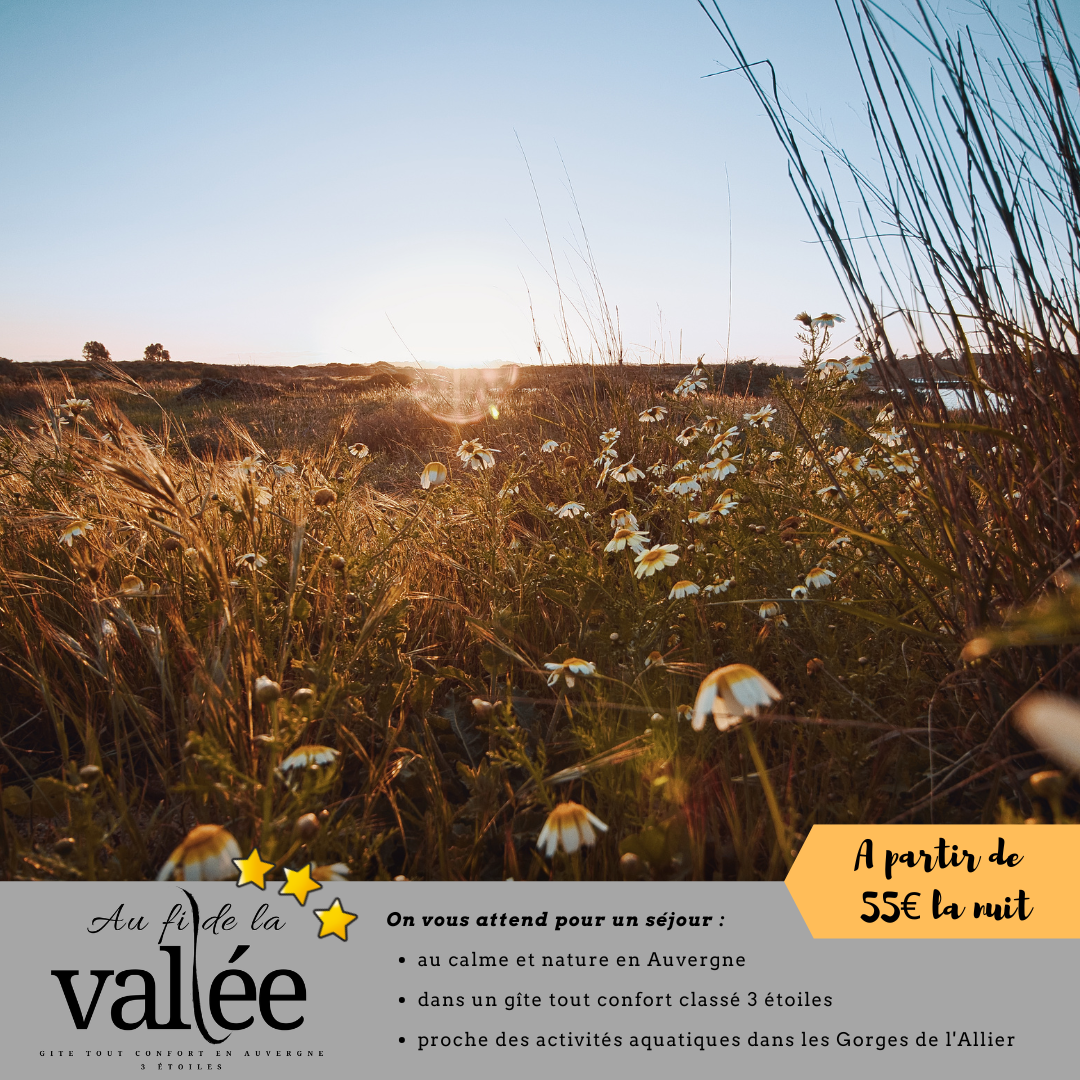 détente au coeur d'une campagne fleurie en Haute-Loire